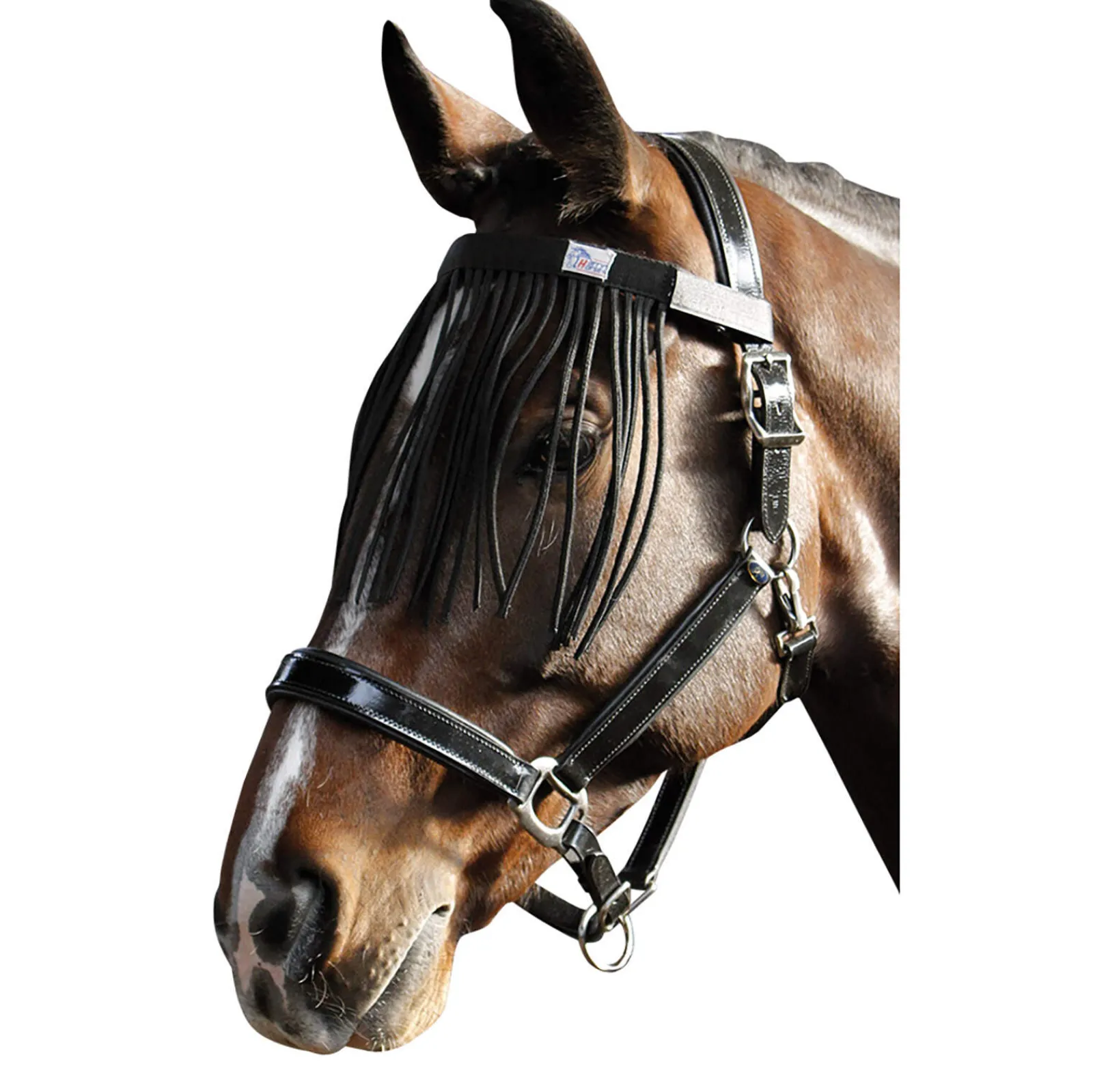 Discount Harry Fly Masks & Fringes|Fly Masks & Fringes