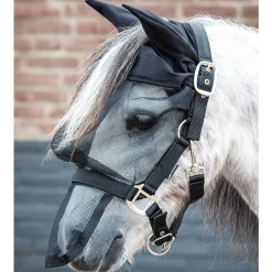 Online Harry Headcollars & Halters