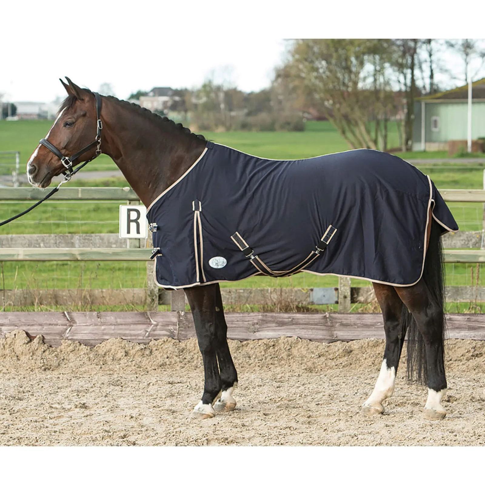 Clearance Harry Fleece Horse Rugs & Cooler Rugs
