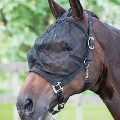 Fashion Harry Headcollars & Halters