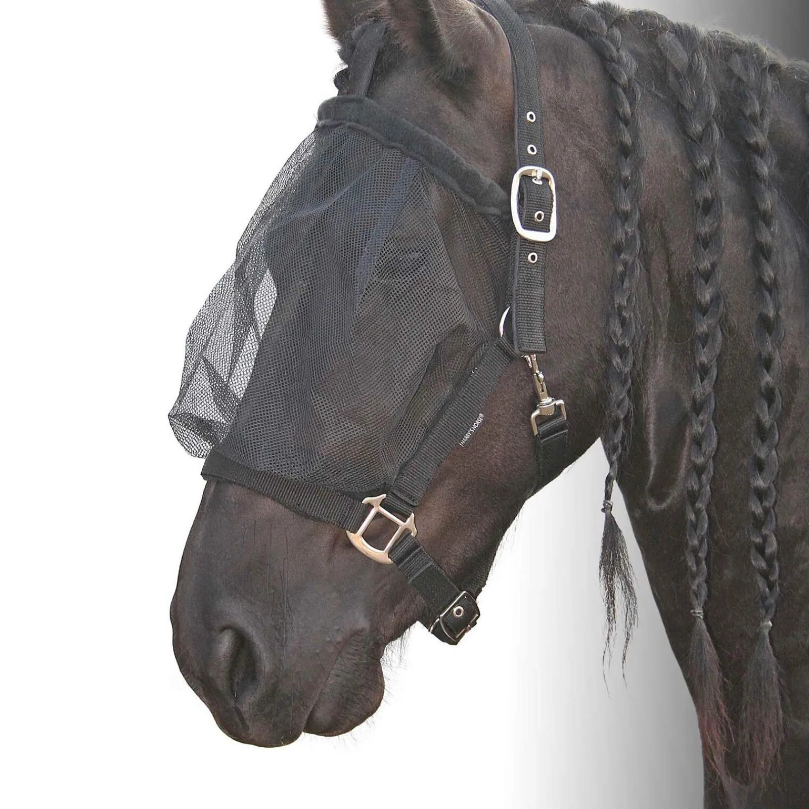 Fashion Harry Headcollars & Halters