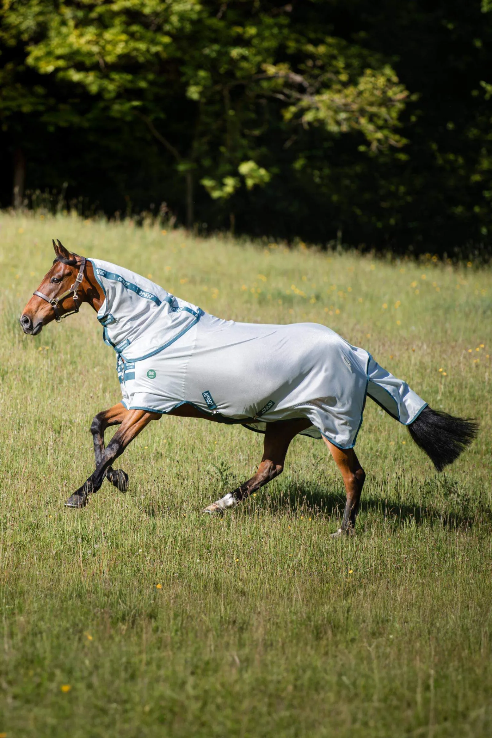 Hot AmEco Bug Rug Fly Rugs|Fly Rugs