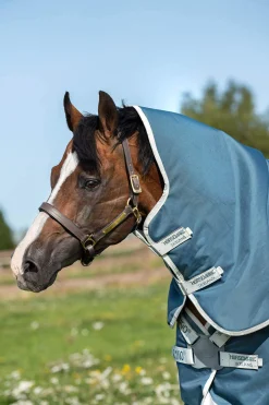 Best Amigo AmEco 12 Plus Turnout Rug With Detachable Neck, 100g Lightweight Turnout Rugs