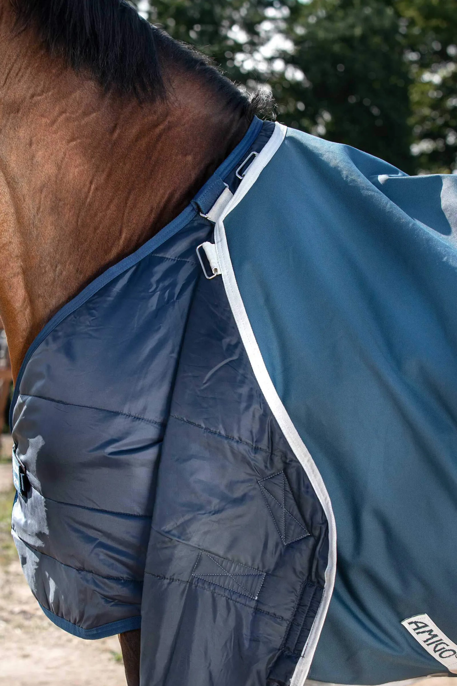 Best Amigo AmEco 12 Plus Turnout Rug With Detachable Neck, 100g Lightweight Turnout Rugs