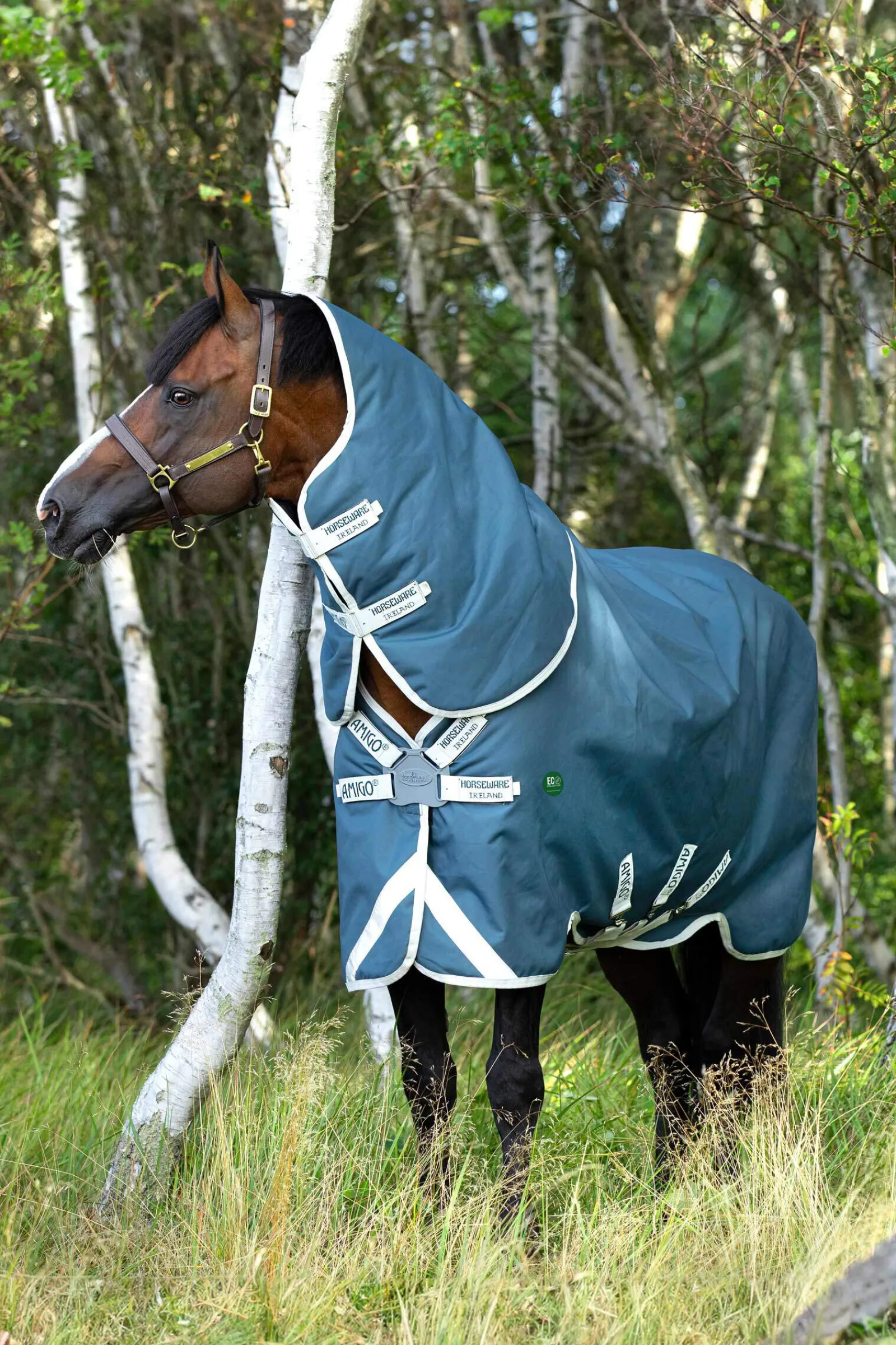 Best Amigo AmEco 12 Plus Turnout Rug With Detachable Neck, 100g Lightweight Turnout Rugs