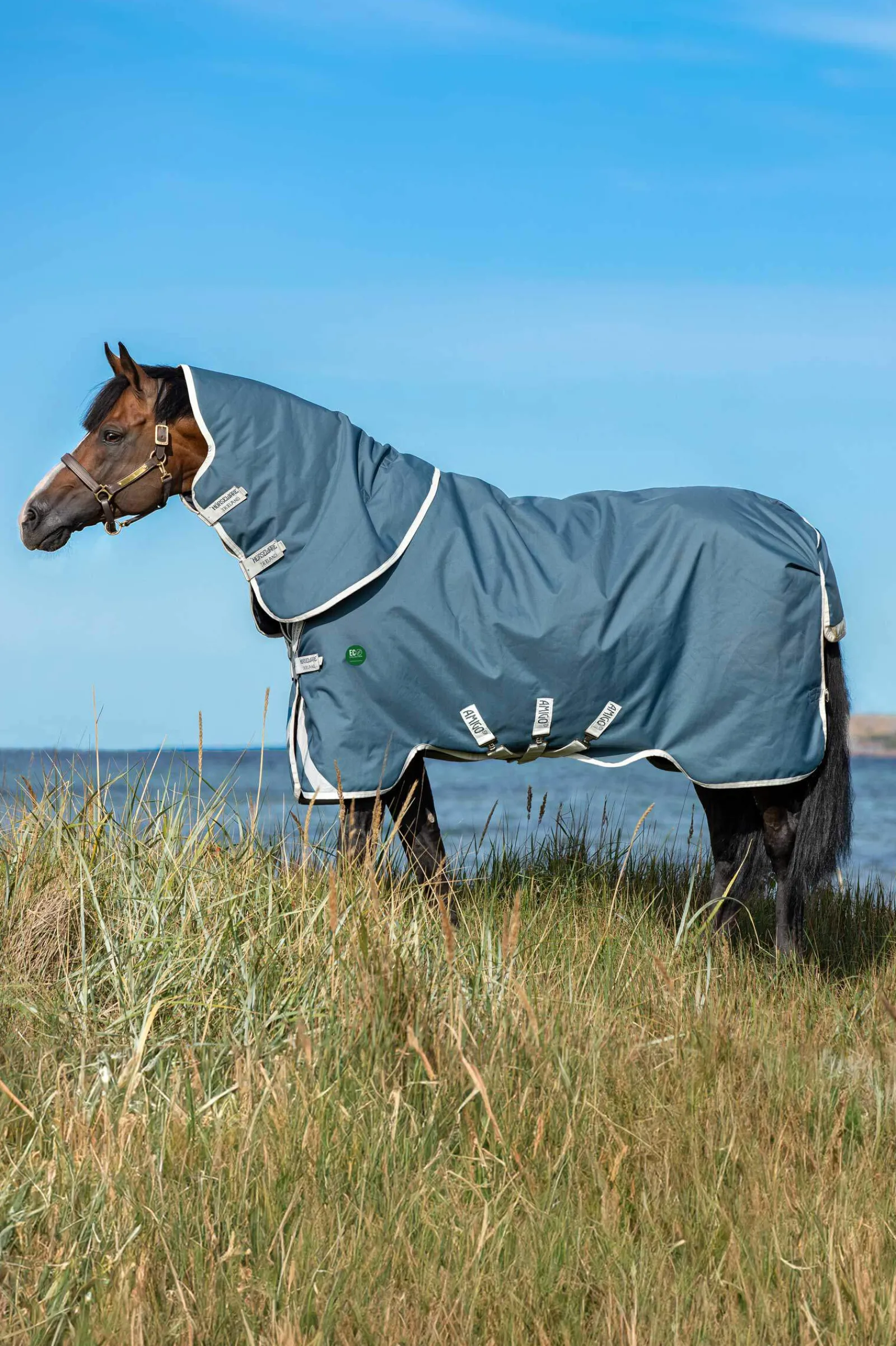 New Amigo AmEco 12 Plus Turnout Rug With Detachable Neck, 0g Lightweight Turnout Rugs