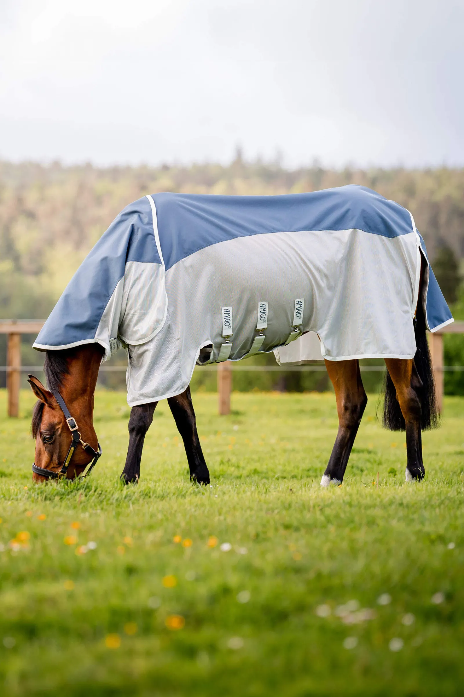 New Amigo AmEco Combi Fly Rug Fly Rugs|Fly Rugs