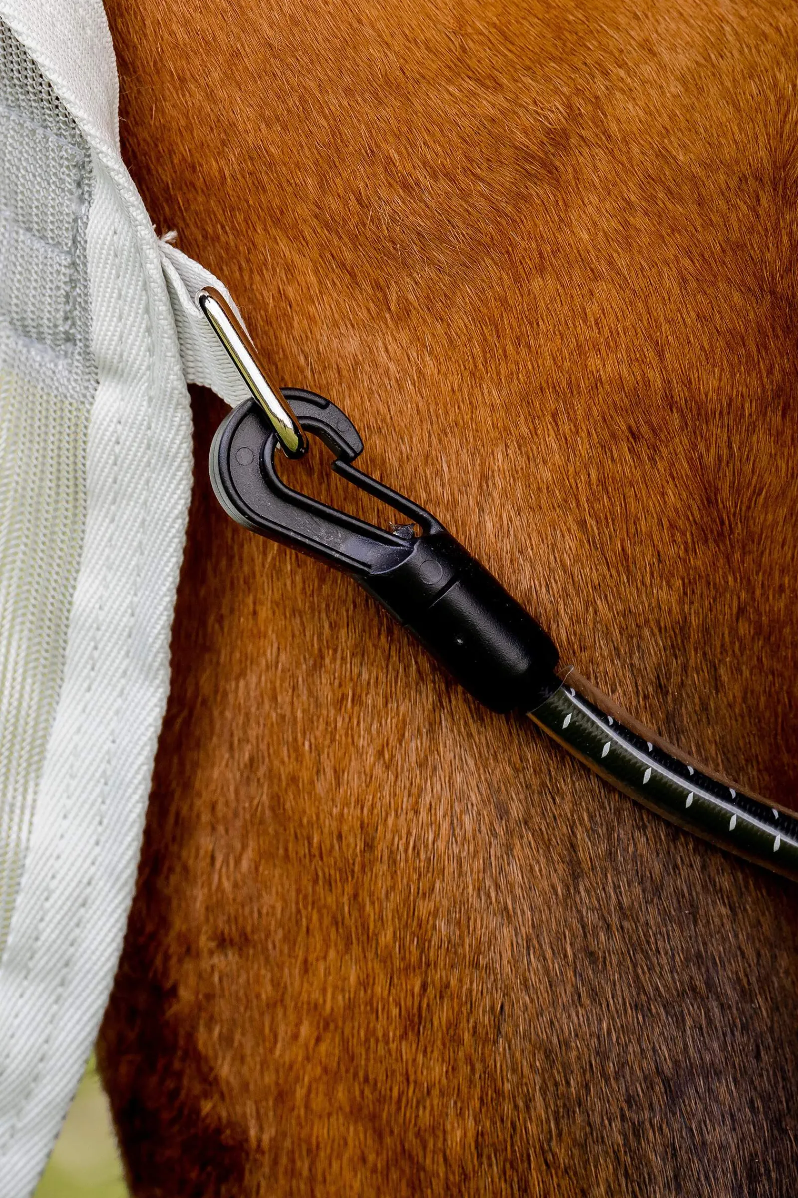 New Amigo AmEco Combi Fly Rug Fly Rugs|Fly Rugs