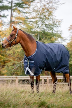 Outlet Amigo Bravo 12 Original Turnout Rug, 250g Medium & Heavyweight Turnout Rugs