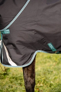 Outlet Amigo Bravo 12 Plus Turnout Rug, 250g Medium & Heavyweight Turnout Rugs