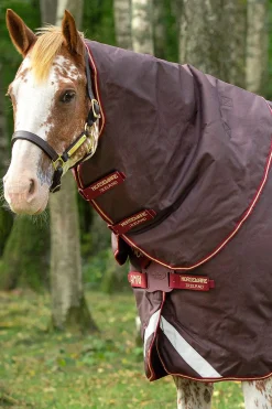 Hot Amigo Bravo 12 Plus Turnout Rug With Detachable Neck, 100g Lightweight Turnout Rugs