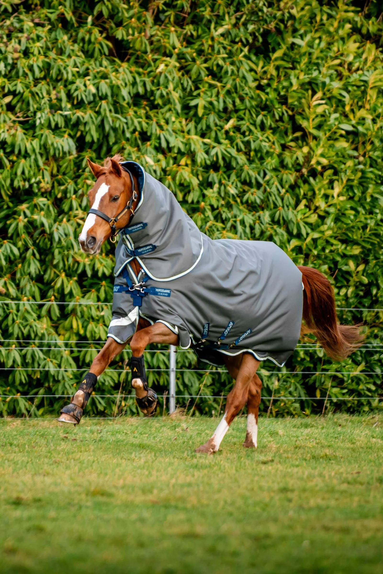 Sale Amigo Bravo 12 Plus Turnout Rug With Detachable Neck, 400g Medium & Heavyweight Turnout Rugs