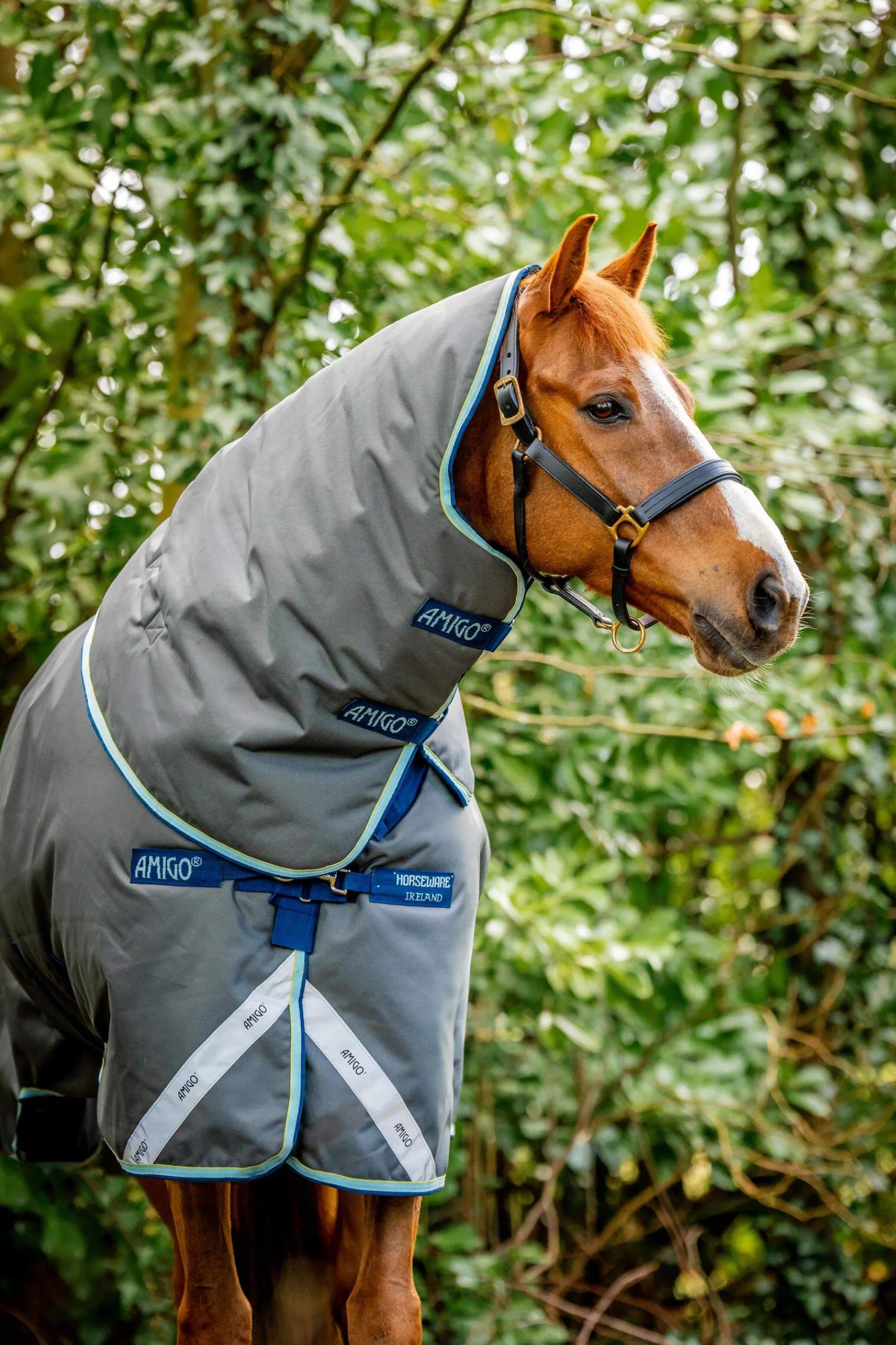 Sale Amigo Bravo 12 Plus Turnout Rug With Detachable Neck, 400g Medium & Heavyweight Turnout Rugs