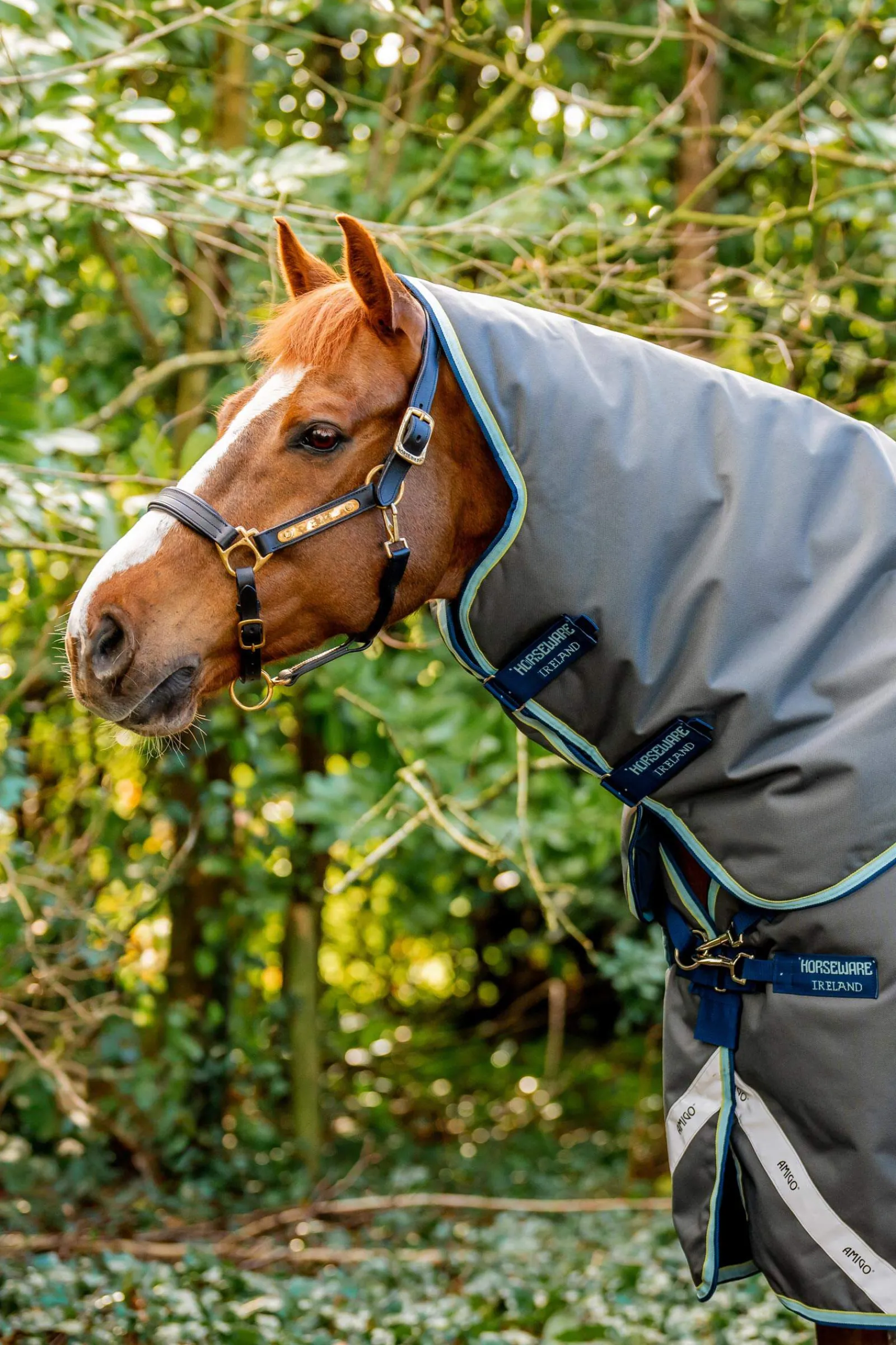Sale Amigo Bravo 12 Plus Turnout Rug With Detachable Neck, 400g Medium & Heavyweight Turnout Rugs