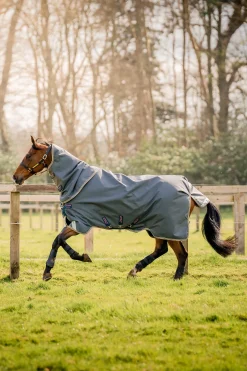 Online Amigo Bravo 12 Plus Turnout Rug With Detachable Neck, 0g Lightweight Turnout Rugs