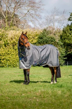Online Amigo Bravo 12 Plus Turnout Rug With Detachable Neck, 0g Lightweight Turnout Rugs