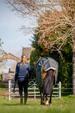 Online Amigo Bravo 12 Plus Turnout Rug With Detachable Neck, 0g Lightweight Turnout Rugs