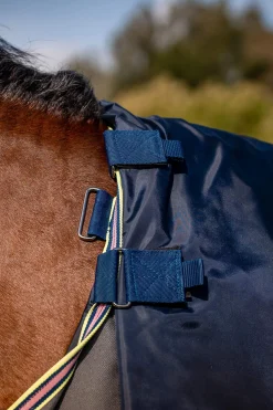 Online Amigo Bravo 12 Plus Turnout Rug With Detachable Neck, 0g Lightweight Turnout Rugs