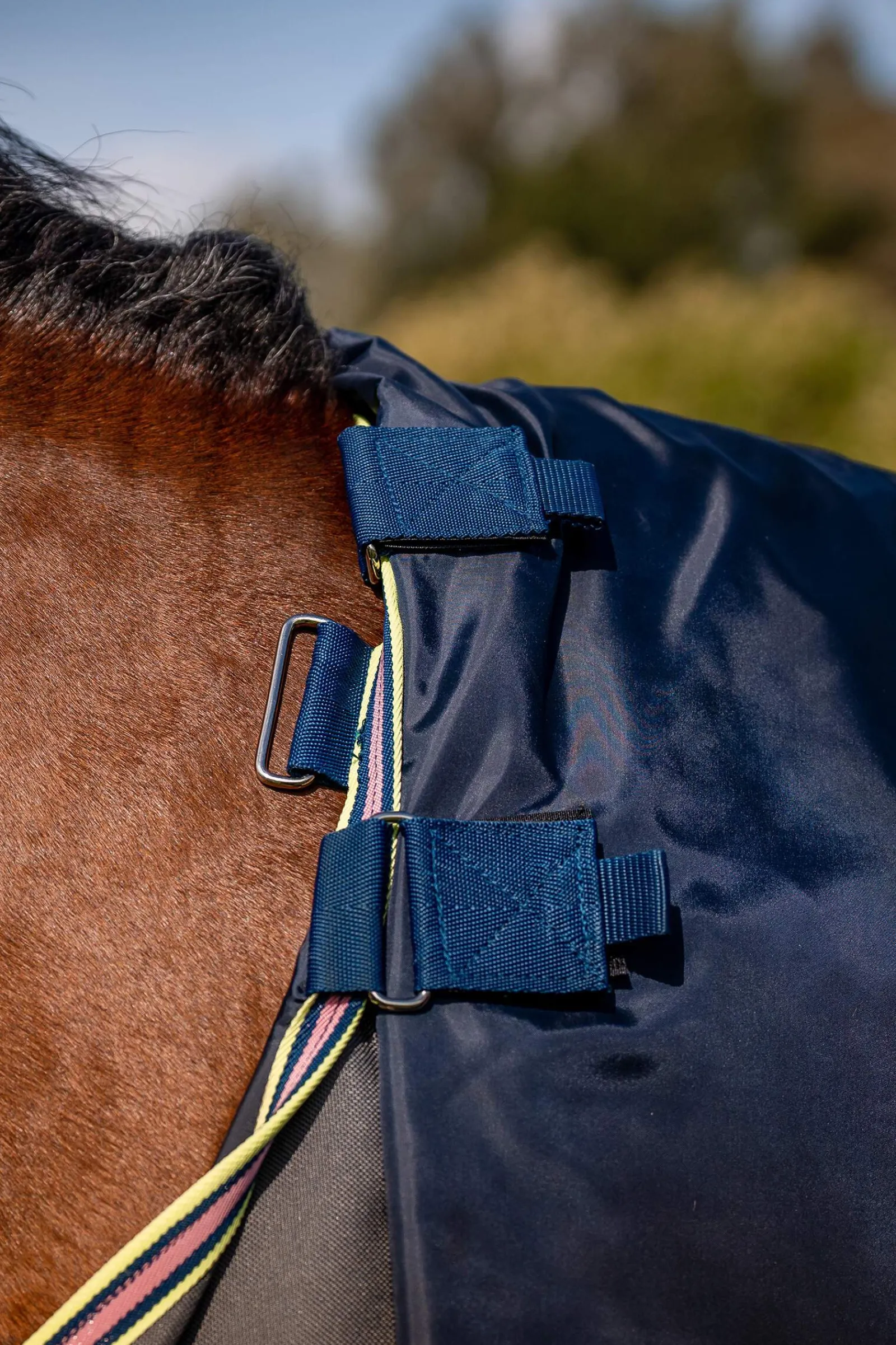 Online Amigo Bravo 12 Plus Turnout Rug With Detachable Neck, 0g Lightweight Turnout Rugs