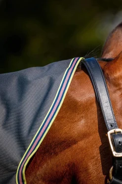 Online Amigo Bravo 12 Plus Turnout Rug With Detachable Neck, 0g Lightweight Turnout Rugs
