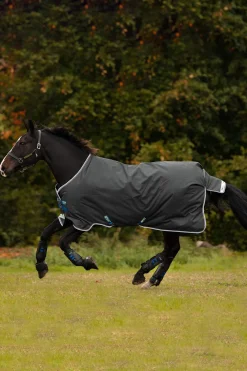 Clearance Amigo Bravo 12 Turnout Rug, 100g Lightweight Turnout Rugs