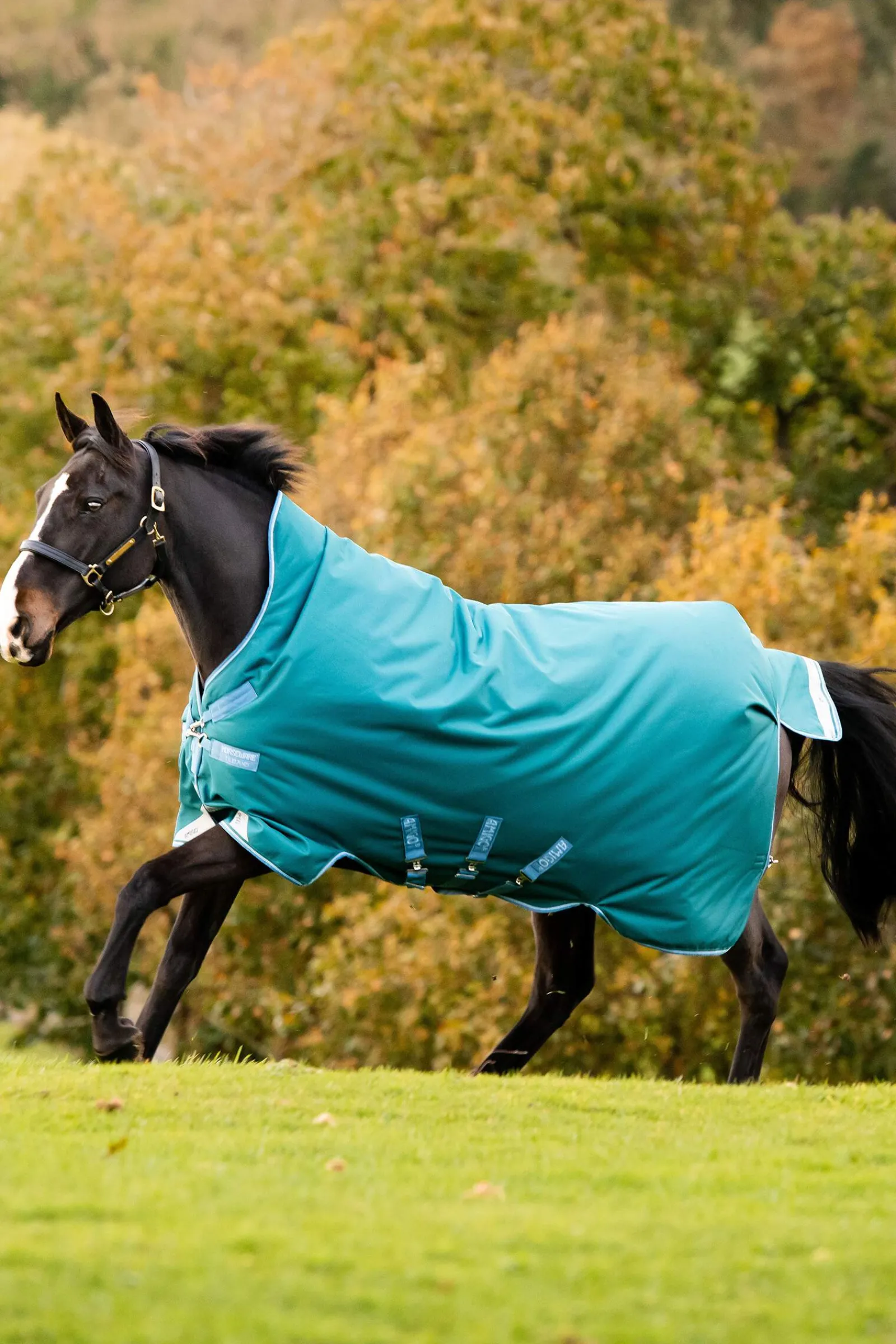Fashion Amigo Bravo 12 Wug Turnout Rug With High Neck, 0g Lightweight Turnout Rugs