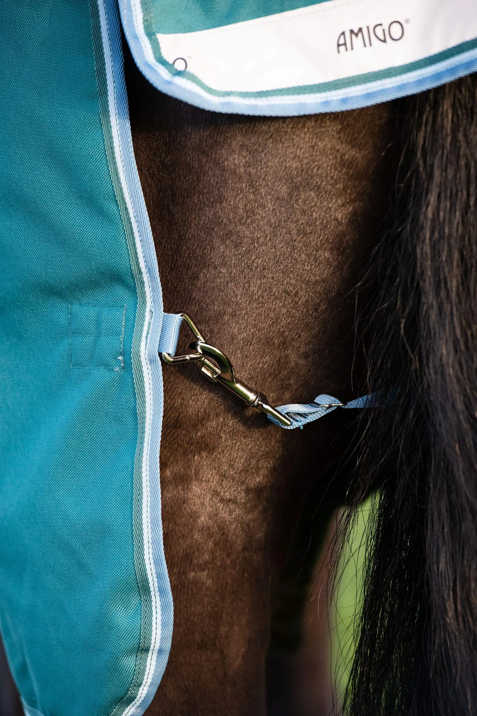 Fashion Amigo Bravo 12 Wug Turnout Rug With High Neck, 0g Lightweight Turnout Rugs