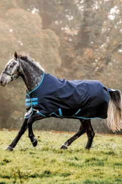 Sale Amigo Bravo Turnout Rug, 50g Lightweight Turnout Rugs