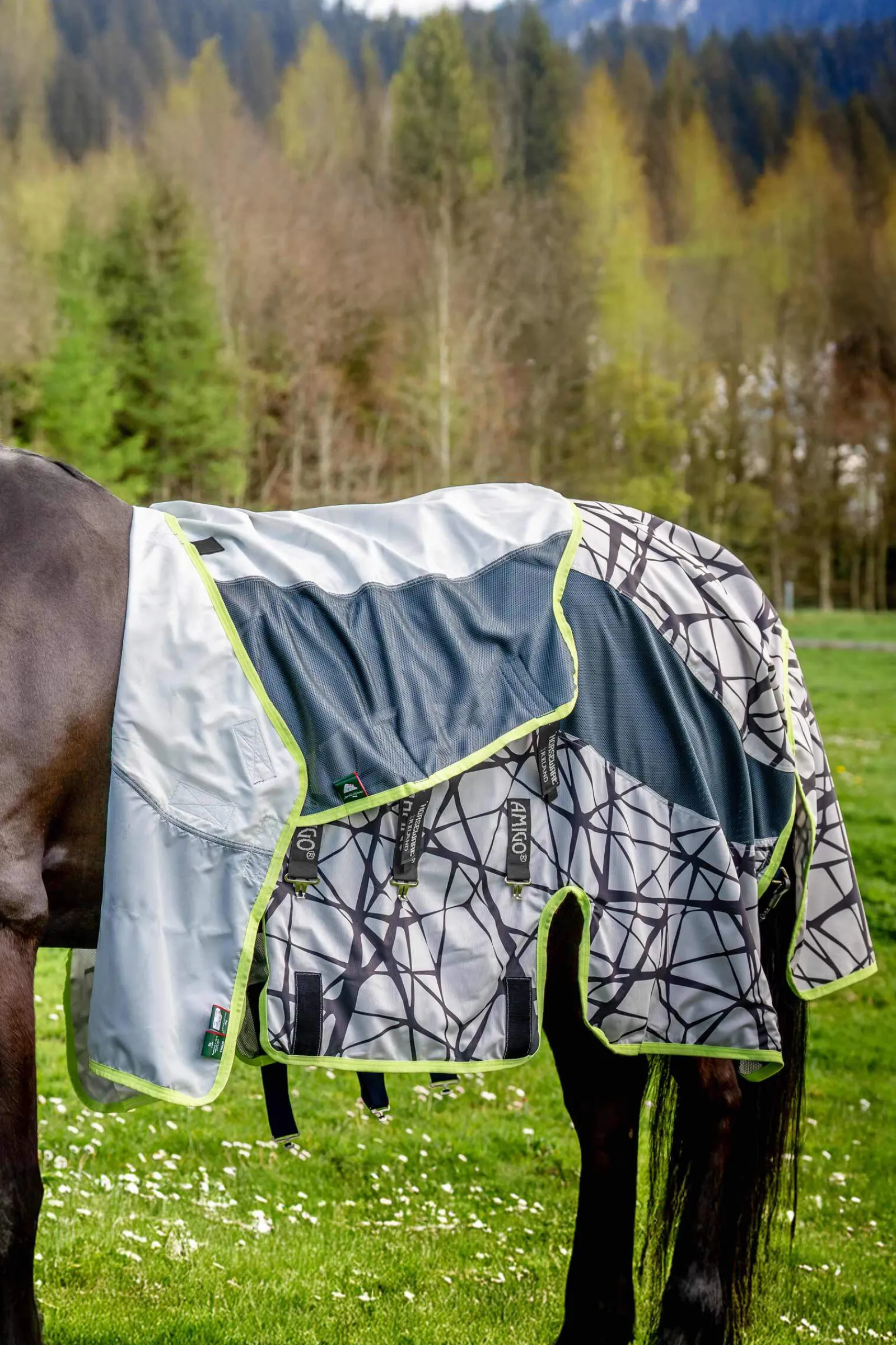 Clearance Amigo CamoFly 3-in-1 Plus Fly Rugs|Fly Rugs