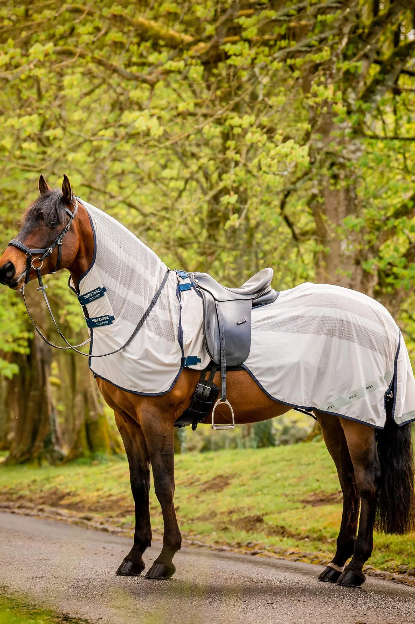 Clearance Amigo Flyrider, 0g Fly Rugs|Fly Rugs