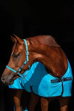 Hot Amigo Head collar Headcollars & Halters