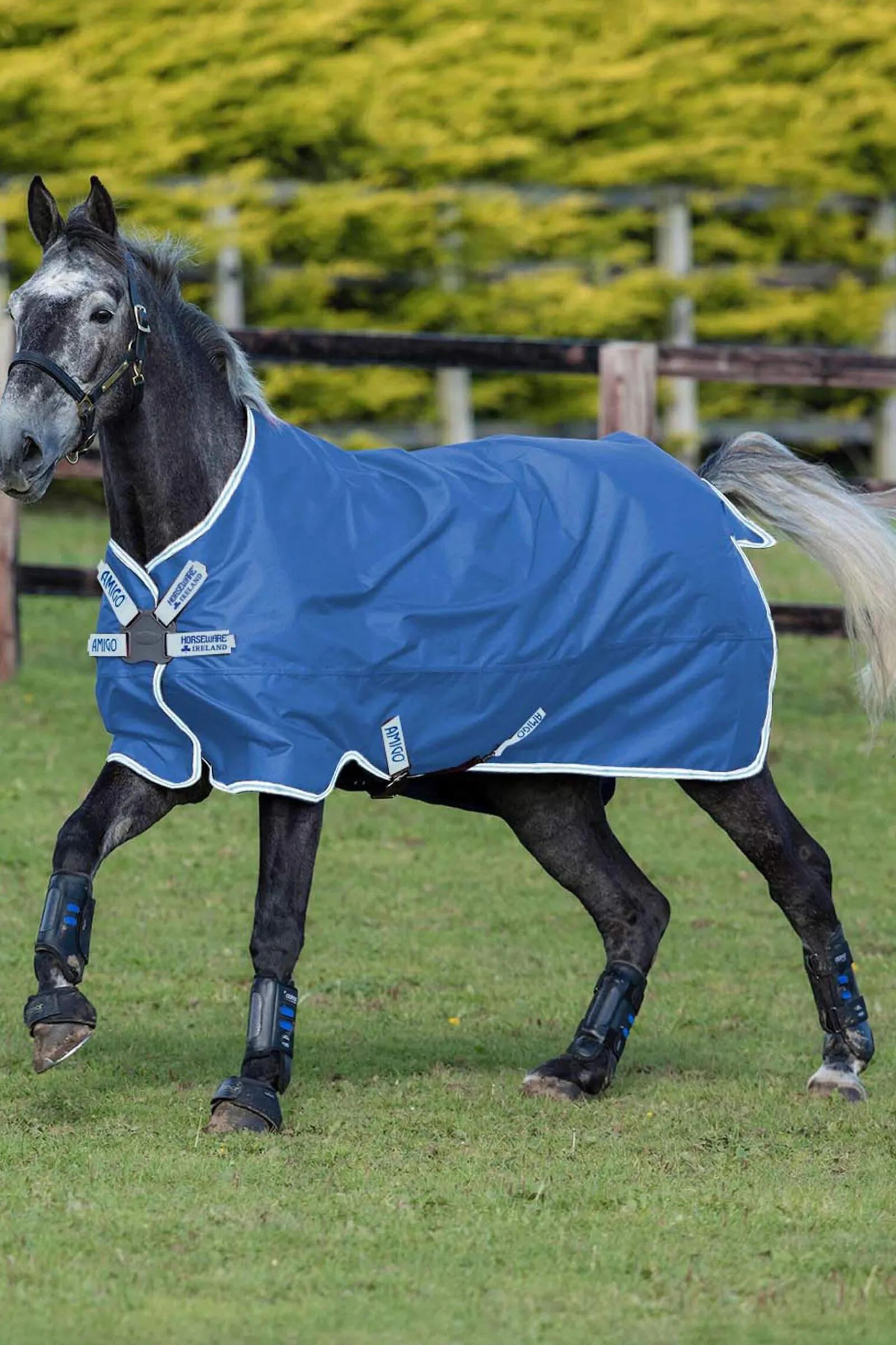 Outlet Amigo Hero 900 Disc Turnout Rug, 50g Lightweight Turnout Rugs