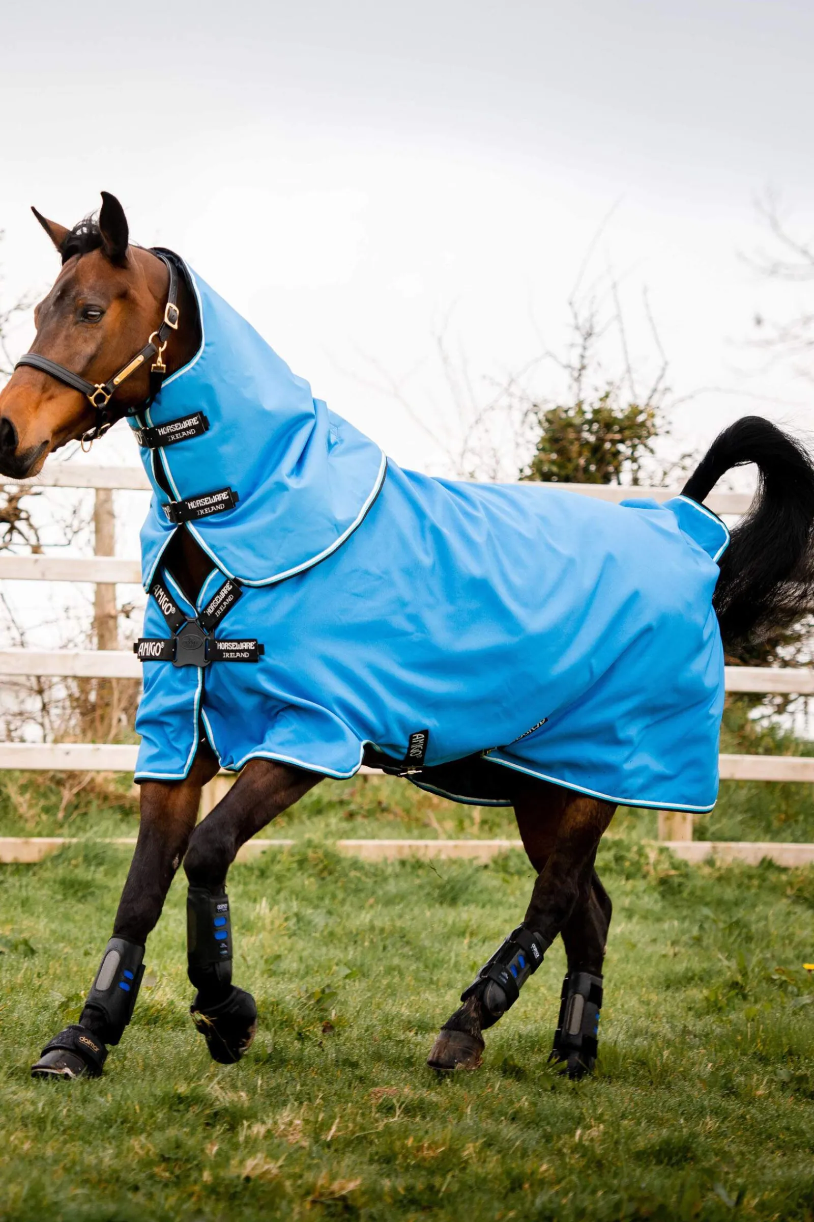 Fashion Amigo Hero 900 Plus Turnout incl. Detachable Hood, 200g Medium & Heavyweight Turnout Rugs