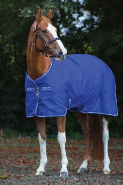 New Amigo Hero 900 Plus Medium Turnout Rug, 200g Medium & Heavyweight Turnout Rugs
