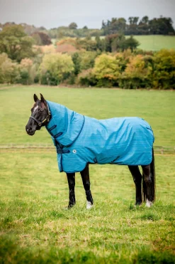 Sale Amigo Hero 900 Revive Plus Turnout Rug with detachable neck cover, 50g Lightweight Turnout Rugs