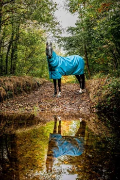 Sale Amigo Hero 900 Revive Plus Turnout Rug with detachable neck cover, 50g Lightweight Turnout Rugs