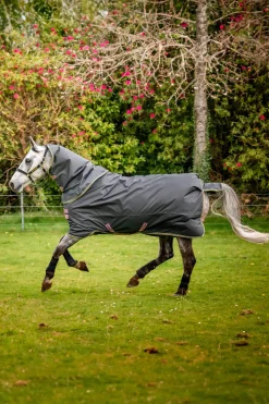 Best Amigo Hero Ripstop Plus Turnout Rug With Detachable Neck, 0g Lightweight Turnout Rugs