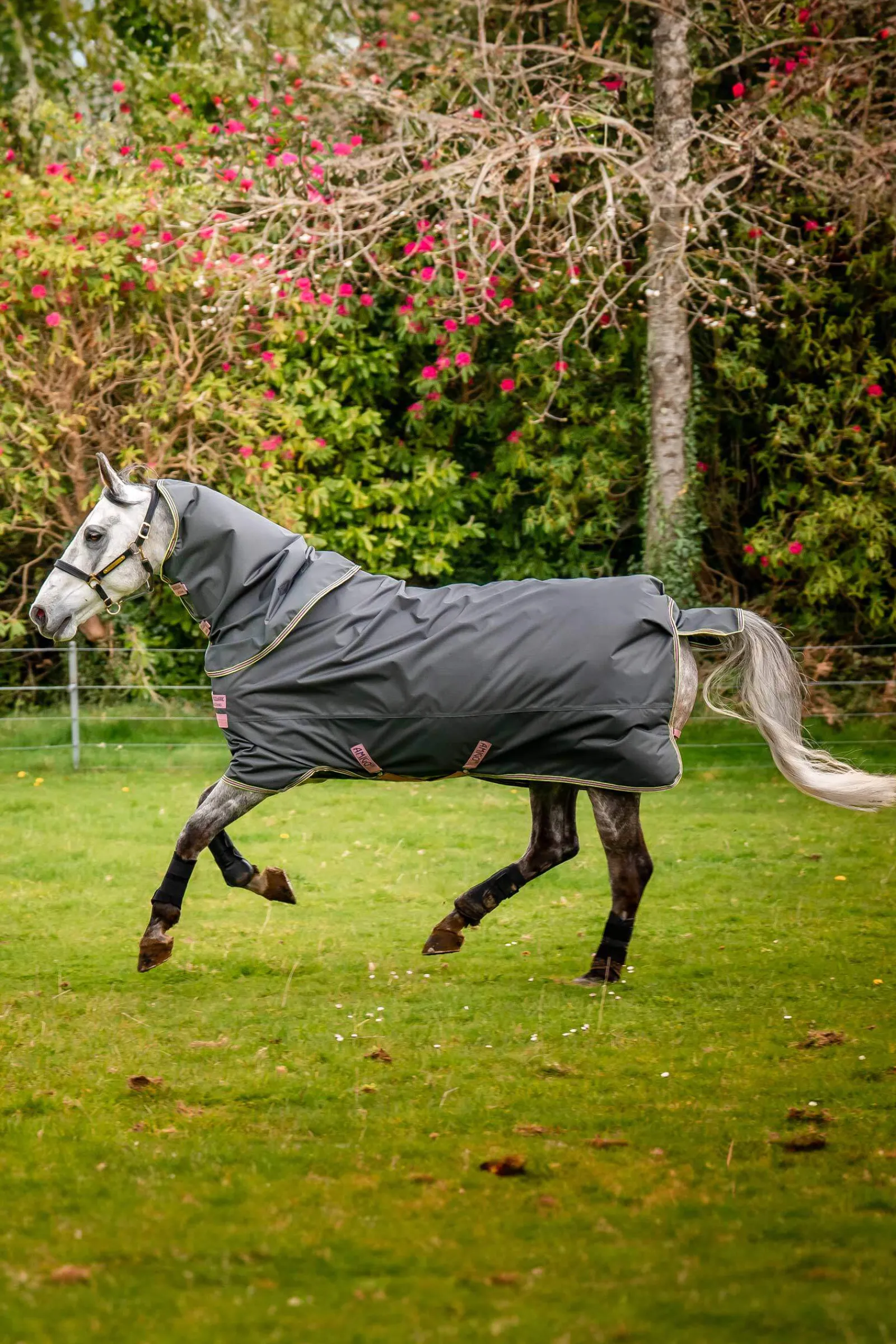 Best Amigo Hero Ripstop Plus Turnout Rug With Detachable Neck, 0g Lightweight Turnout Rugs