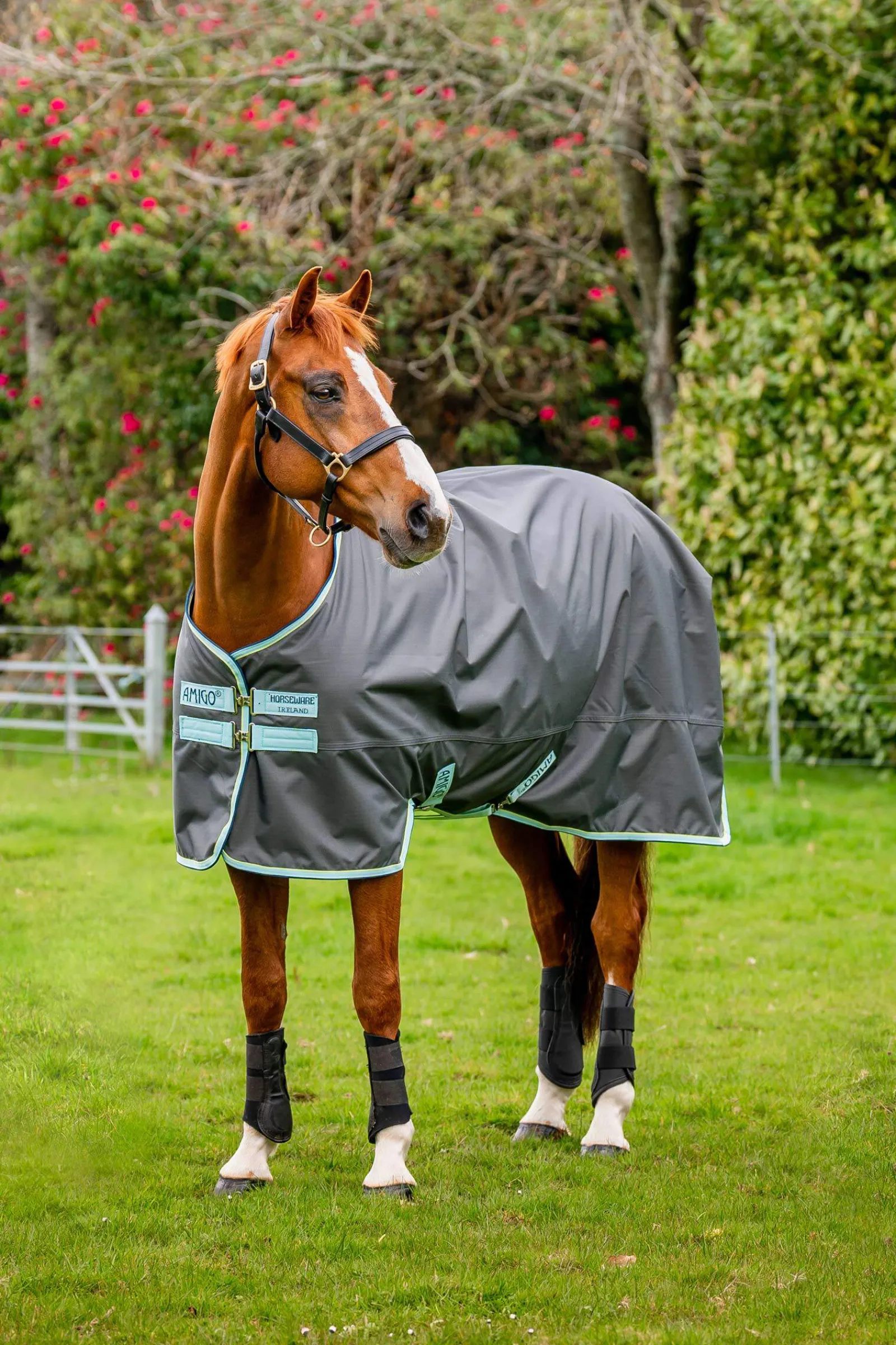 Best Amigo Hero Ripstop Turnout Rug With Fleece Lining, 50g Lightweight Turnout Rugs