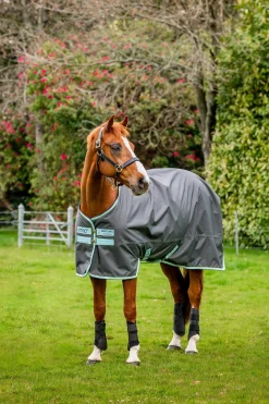 Best Amigo Hero Ripstop Turnout Rug, 50g Lightweight Turnout Rugs