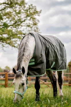 Best Amigo Hero Ripstop Turnout Rug, 50g Lightweight Turnout Rugs