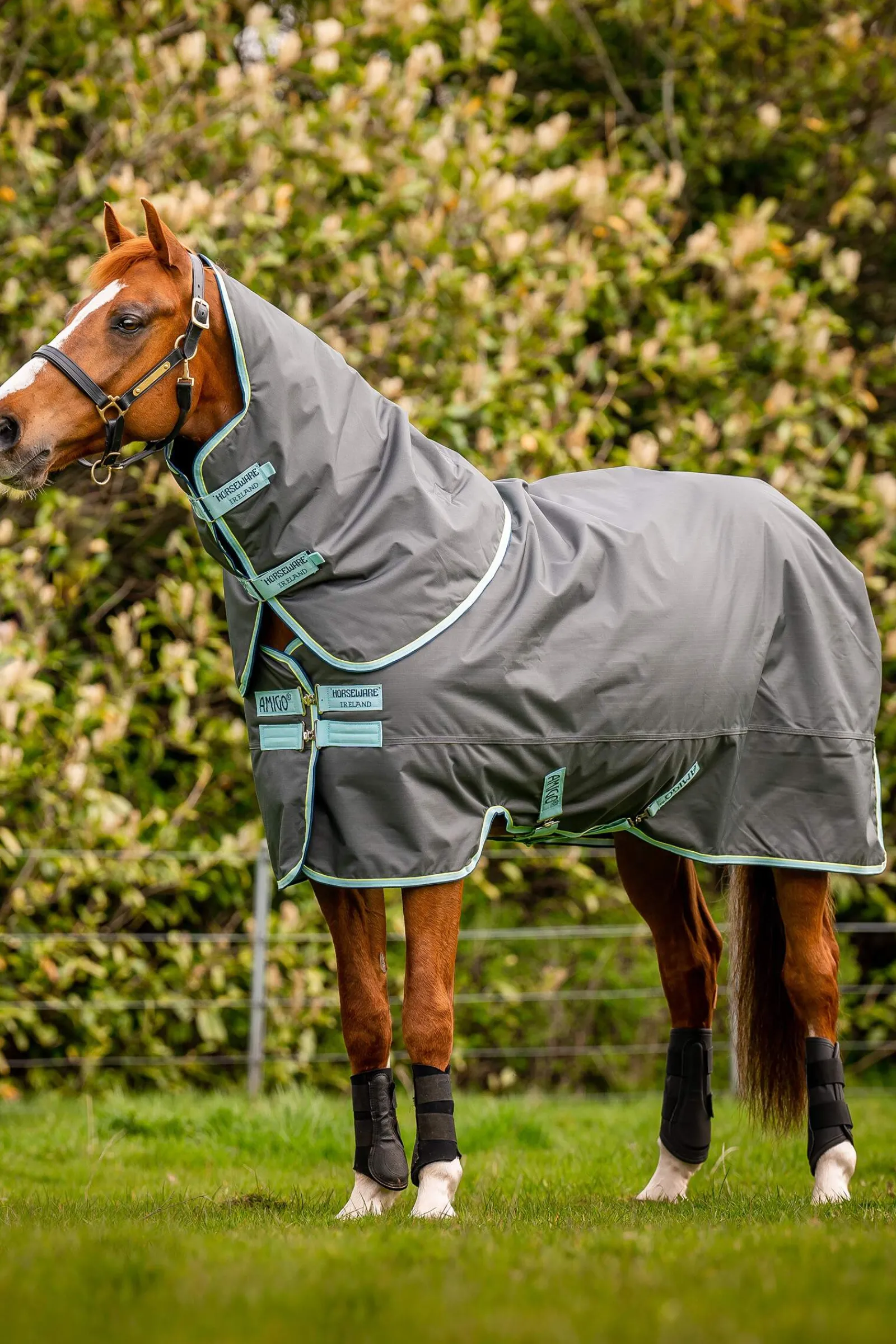 Hot Amigo Hero Ripstop Plus Turnout Rug With Detachable Neck, 200g Medium & Heavyweight Turnout Rugs