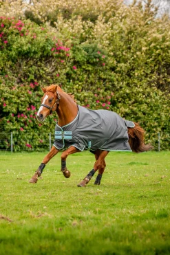 Hot Amigo Hero Ripstop Plus Turnout Rug With Detachable Neck, 200g Medium & Heavyweight Turnout Rugs