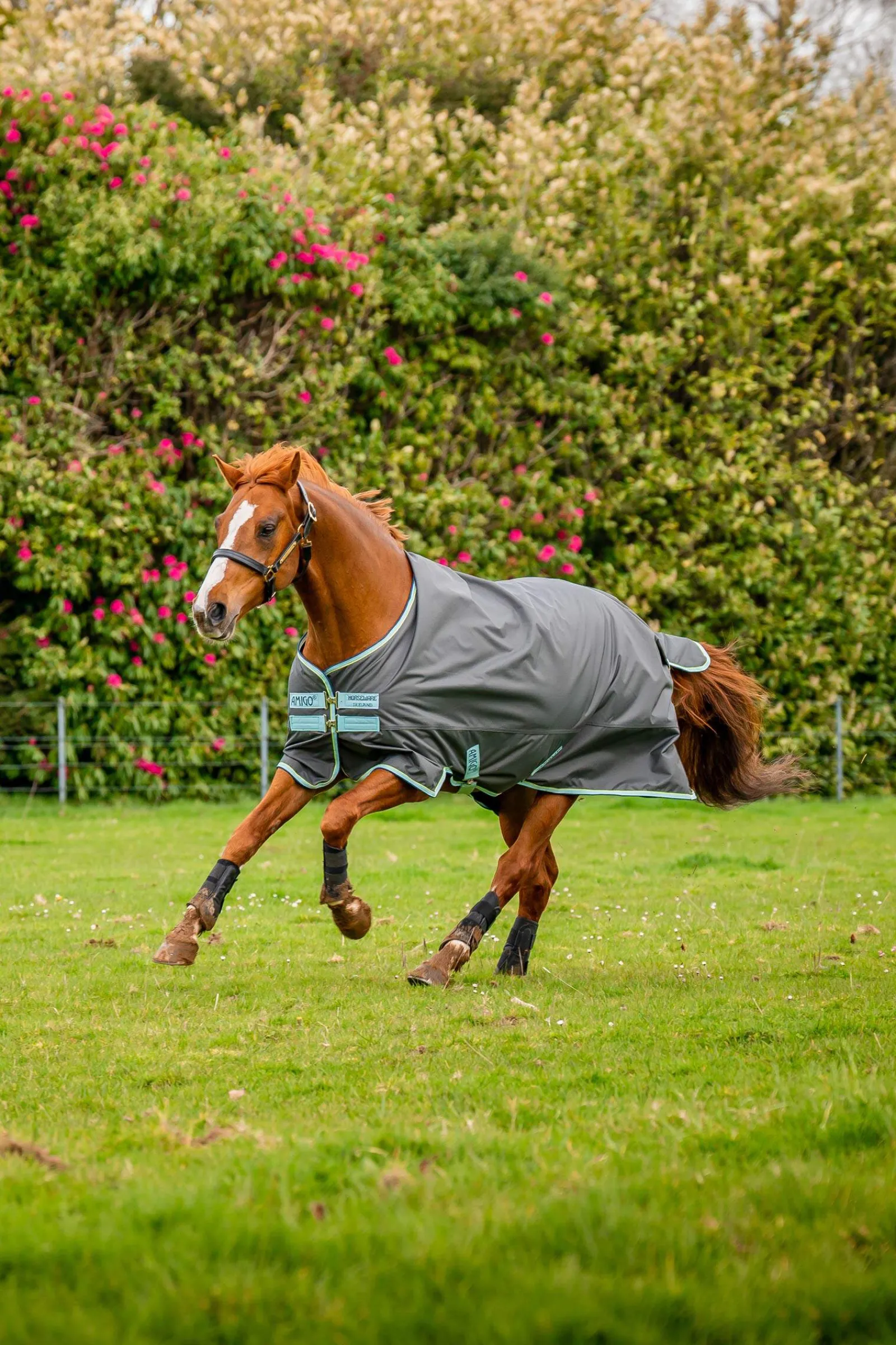 Hot Amigo Hero Ripstop Plus Turnout Rug With Detachable Neck, 200g Medium & Heavyweight Turnout Rugs