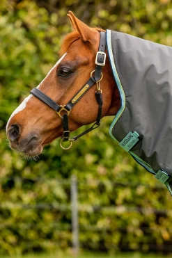 Hot Amigo Hero Ripstop Plus Turnout Rug With Detachable Neck, 200g Medium & Heavyweight Turnout Rugs