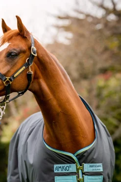 Hot Amigo Hero Ripstop Plus Turnout Rug With Detachable Neck, 200g Medium & Heavyweight Turnout Rugs
