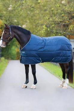 Fashion Amigo Insulator Stable Rug, 100g Stable Rugs & Liners