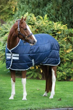 Hot Amigo Insulator Stable Rug, 200g Stable Rugs & Liners