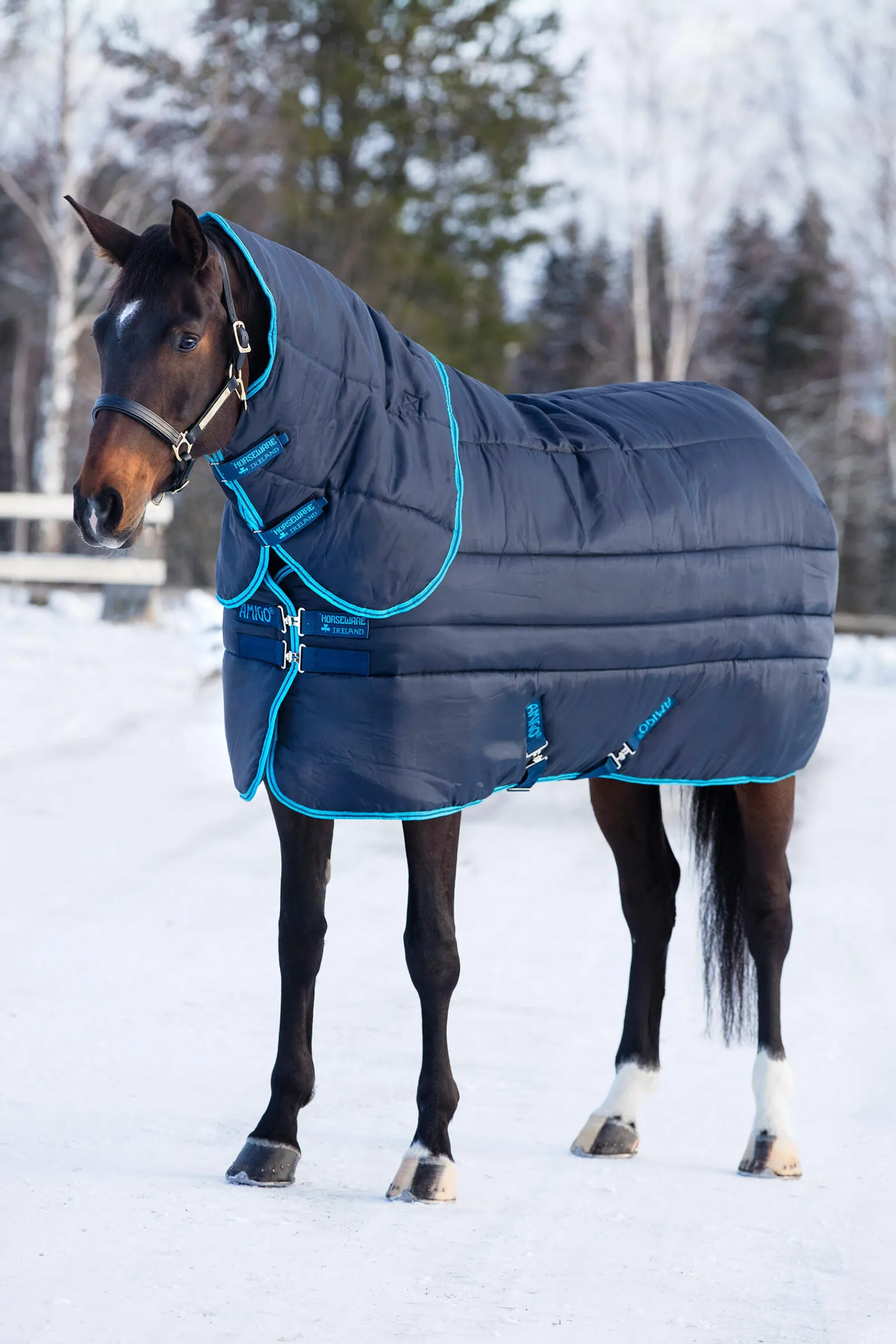 Discount Amigo Insulator Plus Super Stable Rug With Detachable Neck, 550g Stable Rugs & Liners