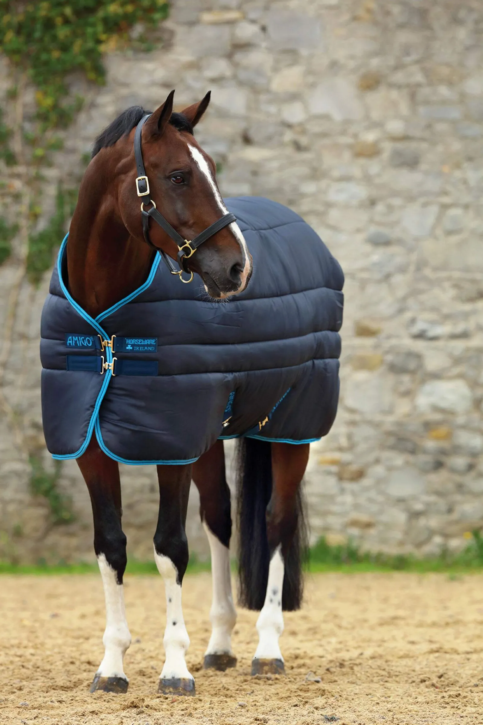 Discount Amigo Insulator Plus Super Stable Rug With Detachable Neck, 550g Stable Rugs & Liners